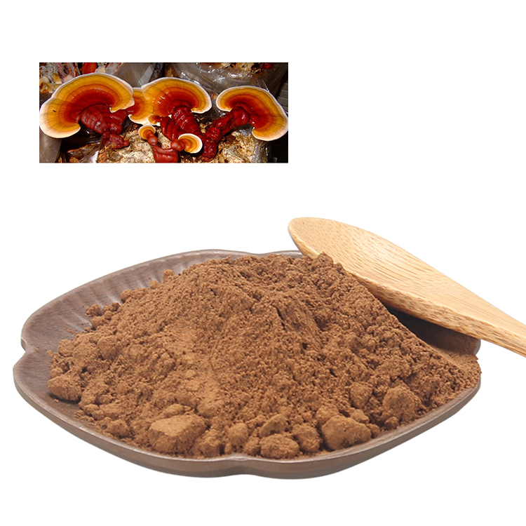 Trusted Source for Organic Reishi Mushroom Extract